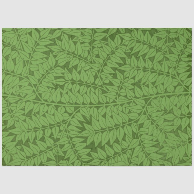 Grüne Zweigstelle Muster (Jungle Art) (William Mor Seidenpapier (Vorderseite)