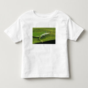 Grüner Anolis, Anolis carolinensis, erwachsen auf Kleinkind T-shirt