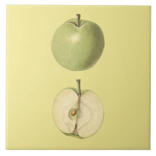 Grüner Apfel Botanischer Fliesen ~ Küche ~ Jede Fa