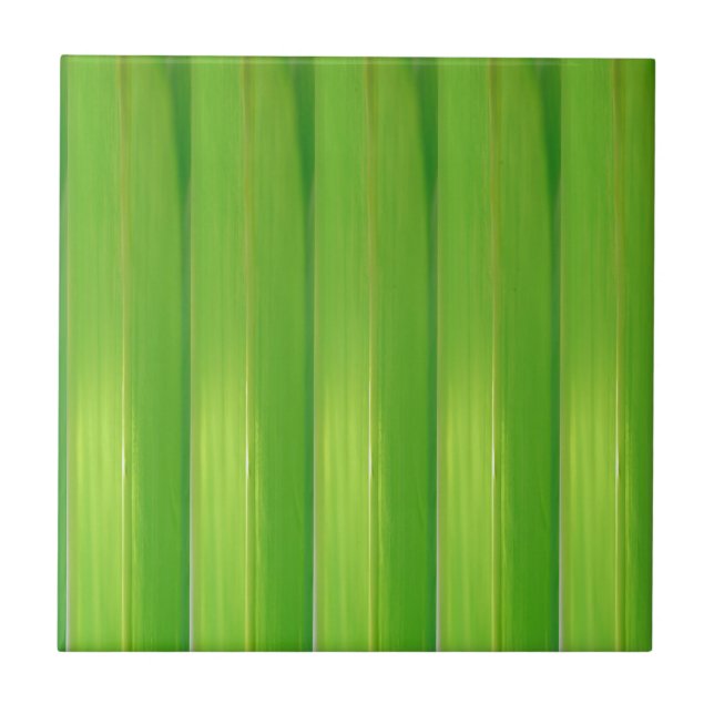 Grüner Bambus Fliese (Vorderseite)