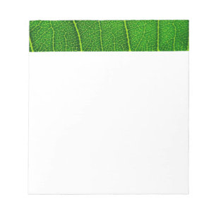 Grüner Baum Blatt Notizblock