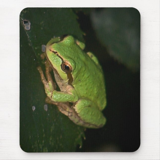 Grüner Baum-Frosch Mousepad (Vorne)