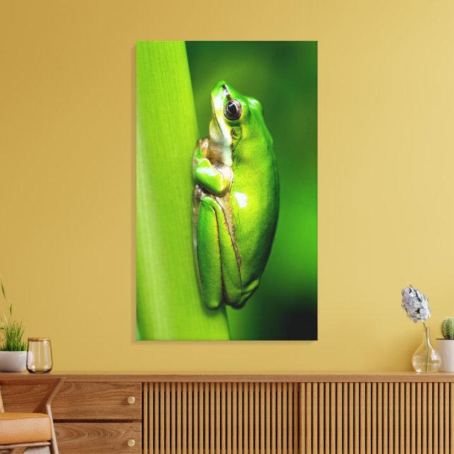 Grüner Baumfrosch auf der Macro-Leinwand der Schil Leinwanddruck (Insitu (Wohnzimmer))