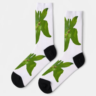 Grüner Baumfrosch auf Leaf, Crew Socken