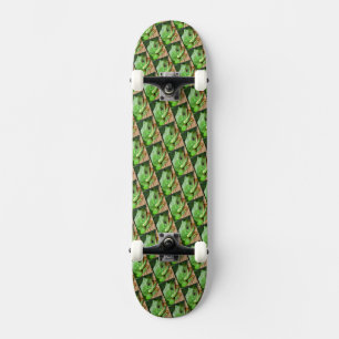 Grüner Baumfrosch Skateboard