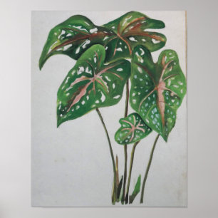 Grüner Blatt Botanischer Wandkunst Druck Poster