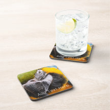 Grüner, blauer und gelber Papagei