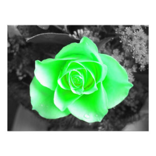 Grüner Blumen-Kopf mit dunklem Hintergrund (2) Fotodruck