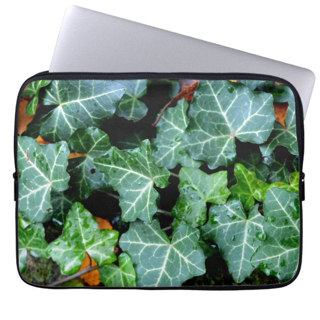 Grüner botanischer See und Felsstein Laptopschutzhülle (Vorderseite)