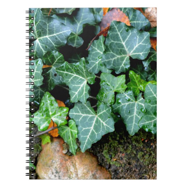 Grüner botanischer See und Felsstein Notizblock (Vorderseite)