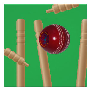 grüner Bowling auf Cricket, Poster