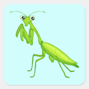 Grüner Cartoon Gebet Mantis-Aufkleber Quadratischer Aufkleber