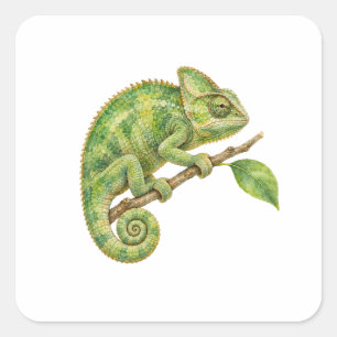 Grüner Chamäleon Wasserfarbe Reptil Quadratischer Aufkleber