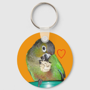 Grüner-cheeked conure Schlüsselanhänger