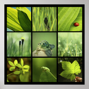 grüner Druck Fotos der Natur 3x3 Poster