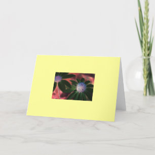 "Grüner Echinacea #1 " Karte
