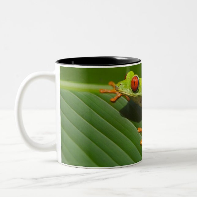 Grüner, farbiger Dschungelbaumfrosch Zweifarbige Tasse (Links)