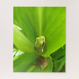 Grüner Frosch