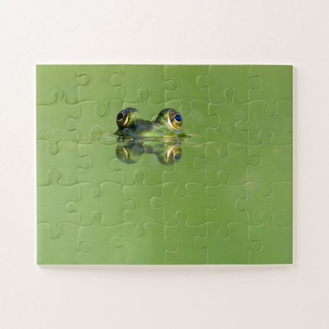 Grüner Frosch (Horizontal)