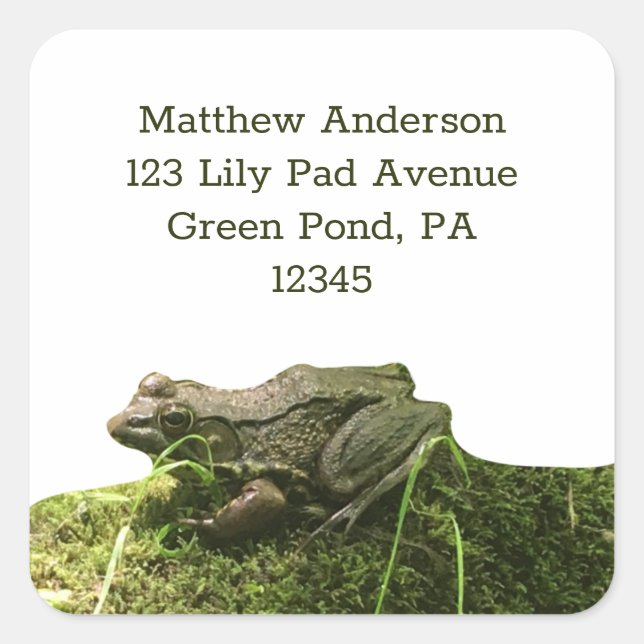 Grüner Frosch auf einem Mossy Rock Rücksendeadress Quadratischer Aufkleber (Vorderseite)