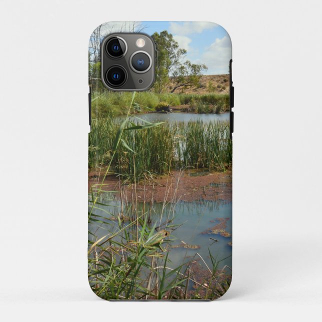 Grüner Frosch auf Schilf über Sumpf, Case-Mate iPhone Hülle (Rückseite)