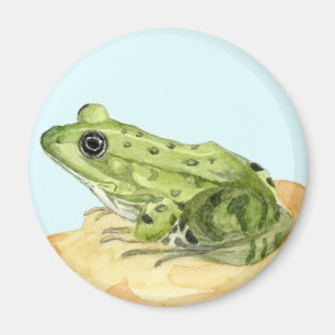 Grüner Frosch Magnet
