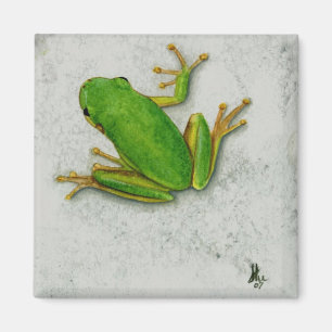 Grüner Frosch-Magnet Magnet