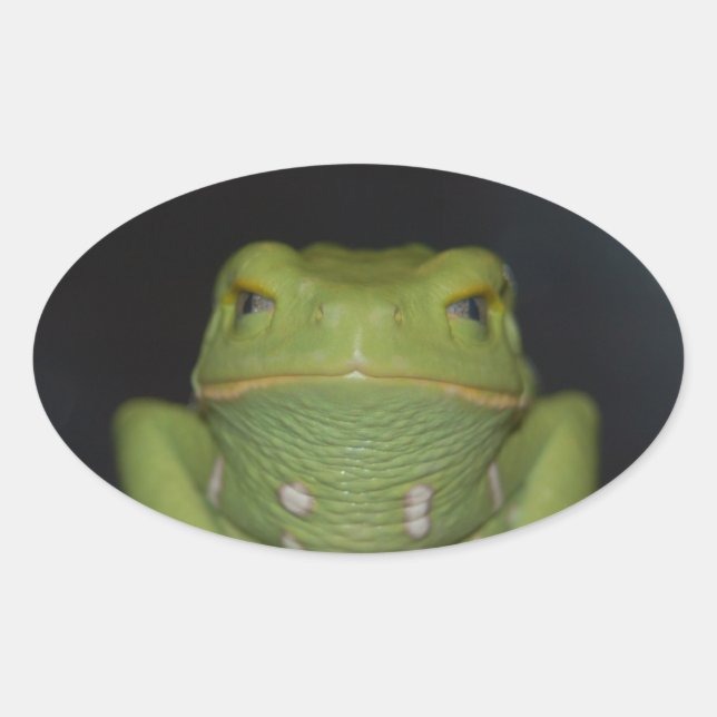 Grüner Frosch Ovaler Aufkleber (Vorderseite)