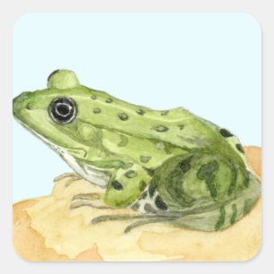 Grüner Frosch Quadratischer Aufkleber