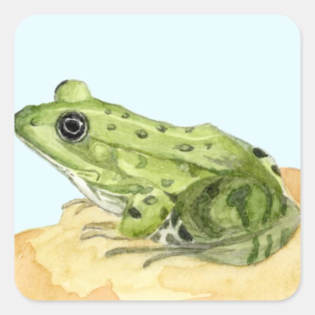 Grüner Frosch Quadratischer Aufkleber (Vorderseite)