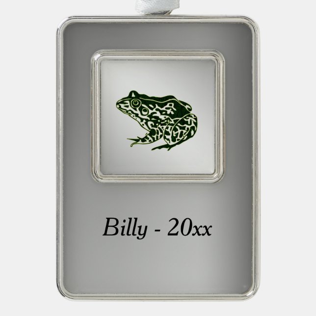 Grüner Frosch Rahmen-Ornament Silber (Vorderseite)