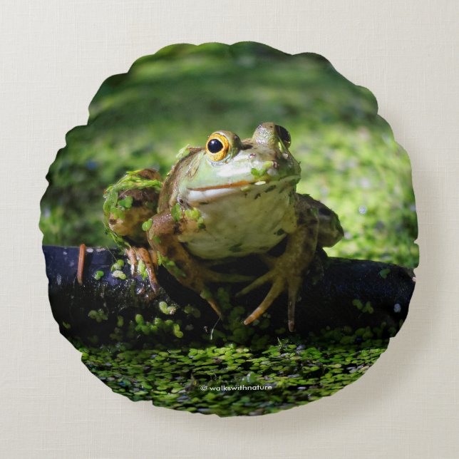 Grüner Frosch schlägt eine Pose auf dem Schlauch Rundes Kissen (Vorderseite)
