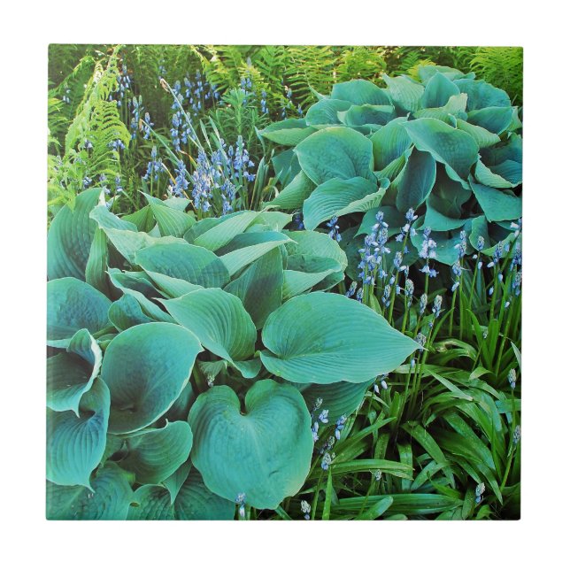 Grüner Garten mit Gartenanlage und Pflanze Fliese (Vorderseite)