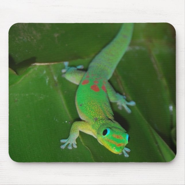 Grüner Gecko in Hawaii Mousepad (Vorne)