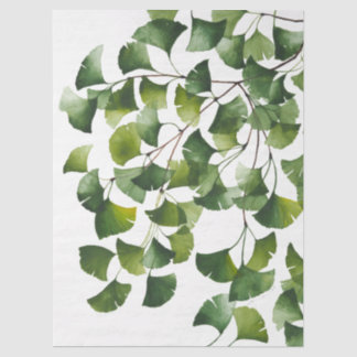 Grüner Ginkgo Biloba -  Seidenpapier