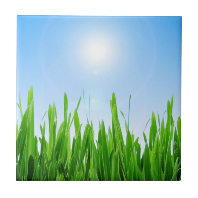 Grüner Grasgarten mit Blau Himmel Design Fliese (Vorderseite)