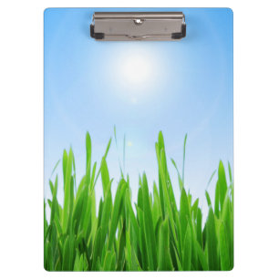 Grüner Grasgarten mit Blau Himmel Design Klemmbrett