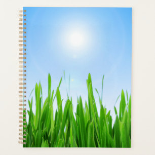 Grüner Grasgarten mit Blau Himmel Design Planer