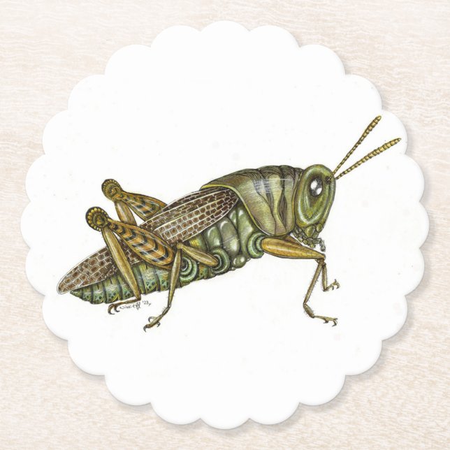 Grüner Grasshopper Untersetzer (Vorderseite)