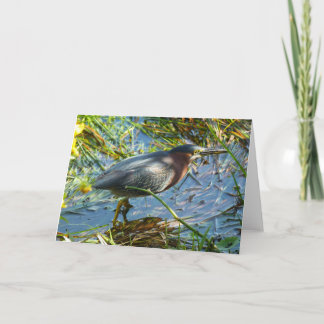 "Grüner Heron 1."Grußkarte Karte