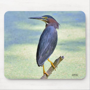 Grüner Herzog Mousepad