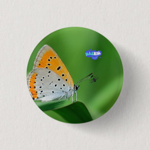 Grüner Hintergrund & gelber,weißer Schmetterling & Button