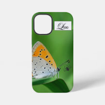 Grüner Hintergrund & gelber,weißer Schmetterling &
