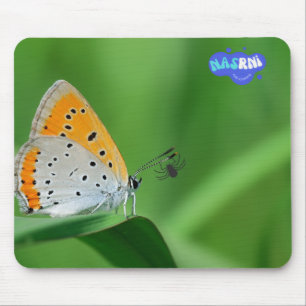 Grüner Hintergrund & gelber, weißer Schmetterling Mousepad