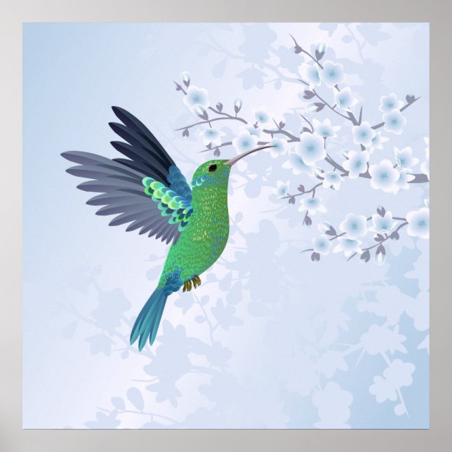 Grüner Hummingvogel mit Blauer Kirschblüte Poster (Vorne)