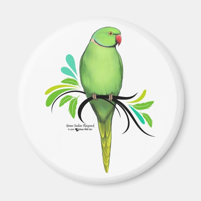 Grüner Indianerapfel Magnet (Vorne)