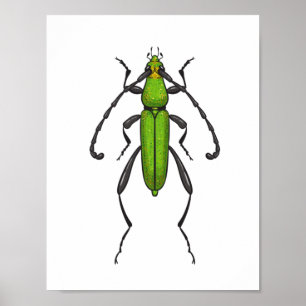 Grüner Käfer Poster