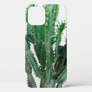 Grüner Kaktus auf weißem Hintergrund. Case-Mate iPhone Hülle
