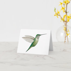 Grüner Kolibri  Karte