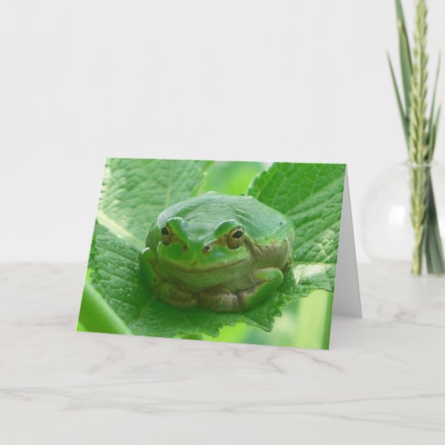 Grüner lächelnder Frosch - nahes hohes Karte (Vorderseite)
